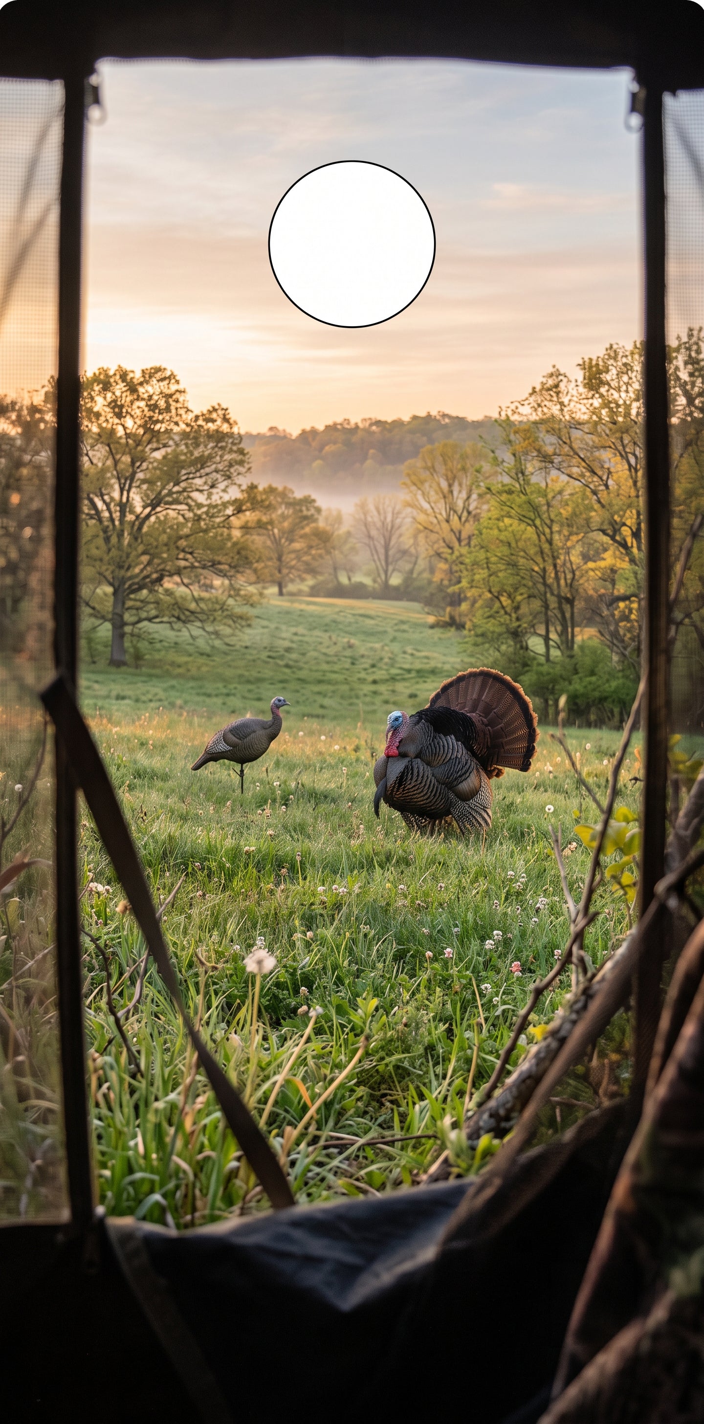 A view from inside a hunting blind looking out onto a grassy field at sunrise or sunset, with two wild turkeys visible in the distance and a bright sun in the sky.